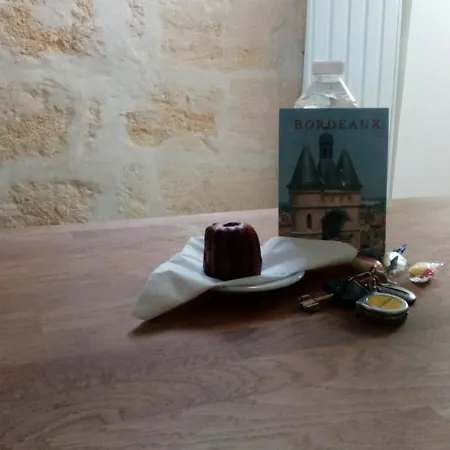 Apartmán Cosy Sur Les Quais De Saint Michel *