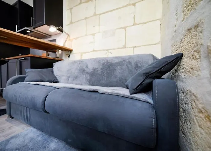 Cosy Sur Les Quais De Saint Michel