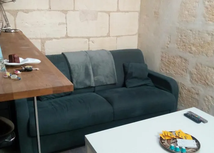 Cosy Sur Les Quais De Saint Michel * Бордо