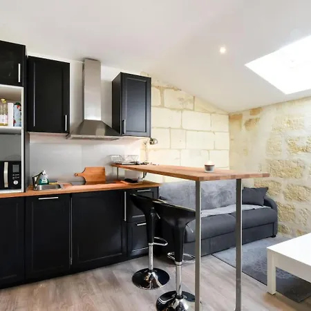 Apartamento Cosy Sur Les Quais De Saint Michel *